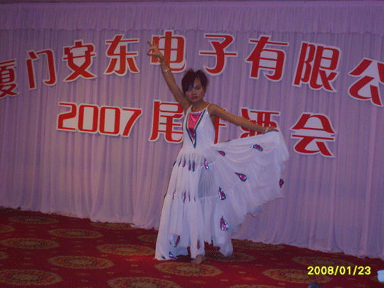 2007年尾牙晚会